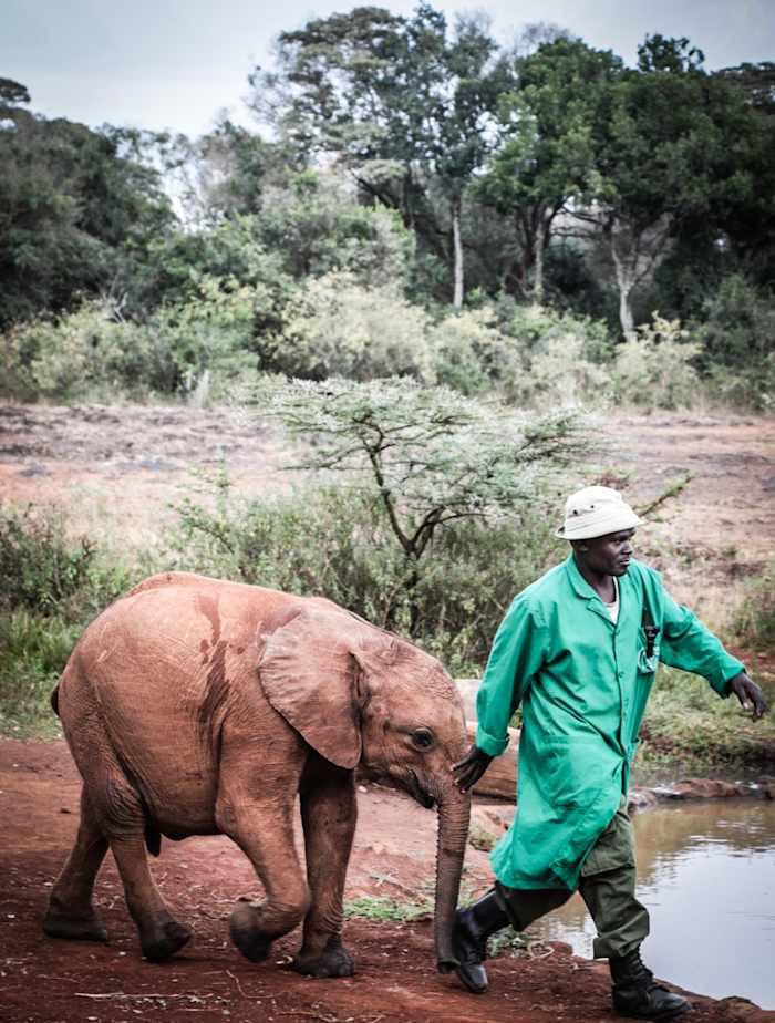 Musiara - GALLERY.jpg